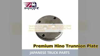 Hino 500 700 Tapplaat 49431 1020 Vervanging